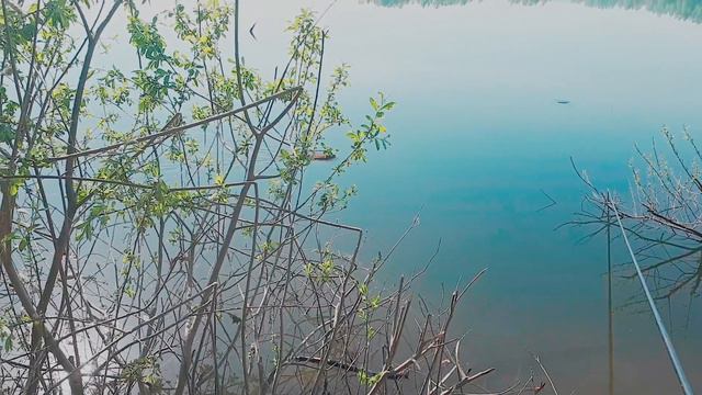 Неуловимый карась Или мормышинг спас рыбалку смотреть онлайн