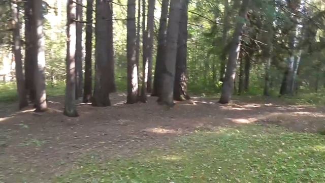 Курганская область #10. Просветский дендрарий. смотреть онлайн