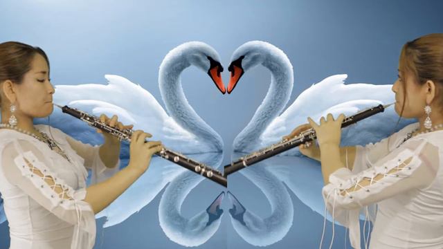 Swan Lake- Violin and Oboe with hip hop beat смотреть онлайн