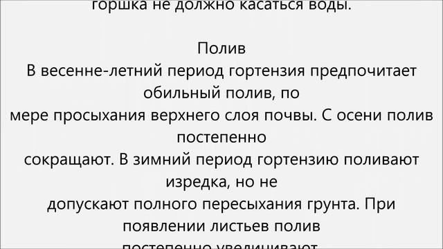 Гортензия уход.Гидрангея уход смотреть онлайн