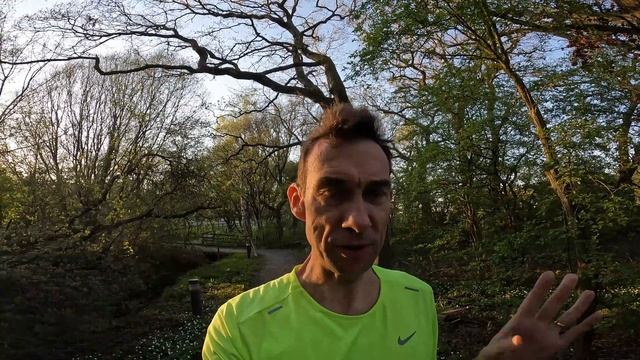 Nike Air Zoom Pegasus 39 смотреть онлайн