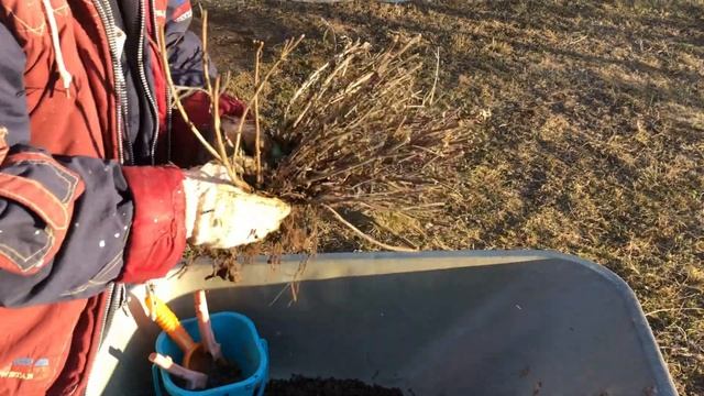 Йога и Медитация