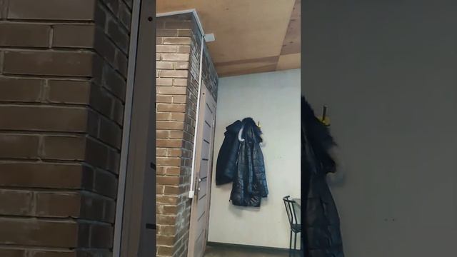 КАЗАХСКИЙ СУП ЗА 300 РУБЛЕЙ, ЗАВТРАК ГАЗЕЛИСТА ХОЛОСТЯКА