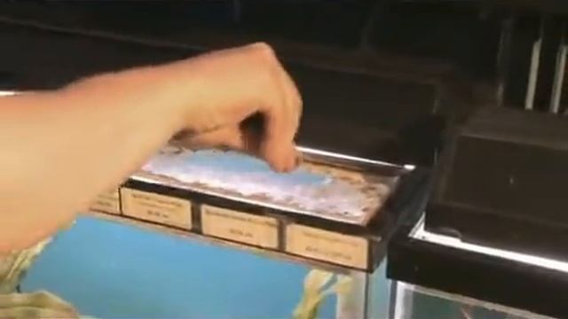 How to Remove Oxidation From Aquarium Glass смотреть онлайн