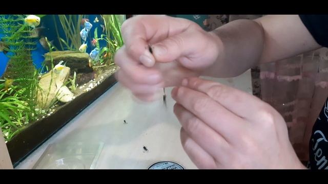 СНАСТЬ НА ЛЕЩА. КАК СОБРАТЬ УДОЧКУ ДЛЯ ЛОВЛИ НА ЧЕРТА. смотреть онлайн