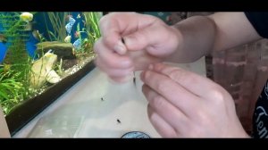 СНАСТЬ НА ЛЕЩА. КАК СОБРАТЬ УДОЧКУ ДЛЯ ЛОВЛИ НА ЧЕРТА.