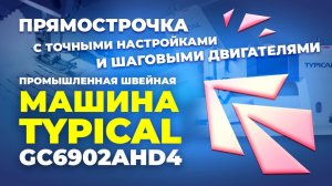 №158 Промышленная швейная машина TYPICAL GC6902A-HD