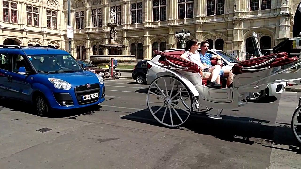 Вена, август 2017, пересадка по дороге в Италию смотреть онлайн