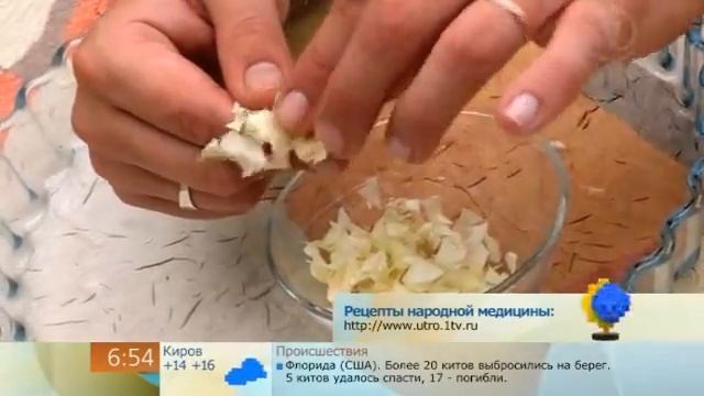 Роза на рану смотреть онлайн