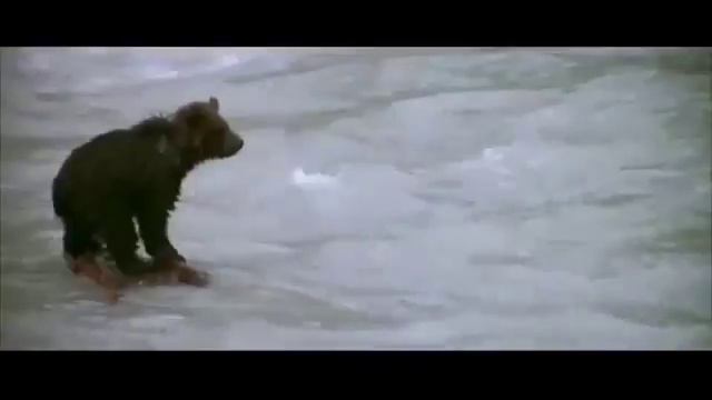 Никогда не сдавайся! смотреть онлайн