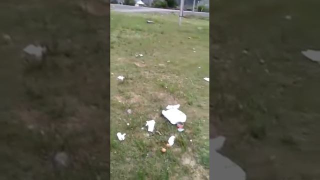 Быдло туристы,не уважения к Алтайскому народу. смотреть онлайн