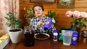 Розы из коробки сажайте только так