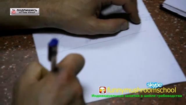 ВЕШЕНКА - лекция о грибах в монастыре НИКОРЕНЬ - YouTube смотреть онлайн