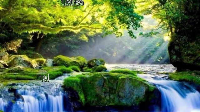 Meeting 1 Text simple past and present perfect i found in Mr Bean смотреть онлайн