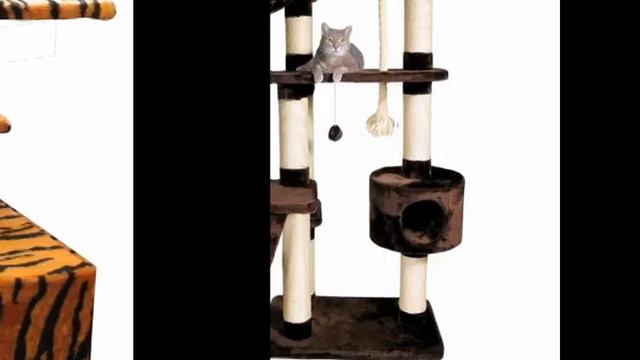 виды домиков для кошки смотреть онлайн