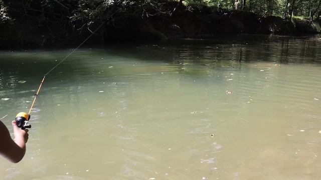 Micro Fishing Challenge at the Creek! смотреть онлайн