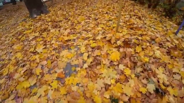 УЛИЦЫ МИНСКА. Чернышевского. Тишина, буслы и посольство Румынии смотреть онлайн