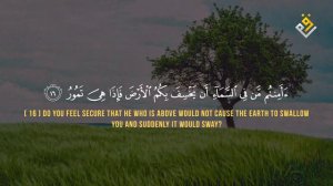 ❤😍 Bilal Darbali (بلال دربالي) | Surah Al-Mulk (سوره الملك) 😍❤