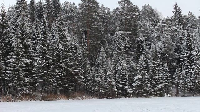 Falling snow.Падающий снег.Winter смотреть онлайн