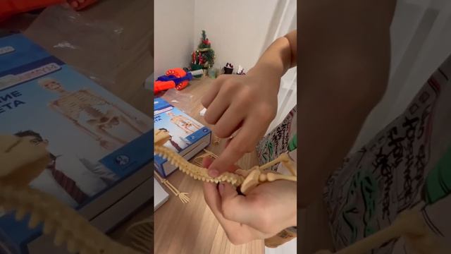 основные кости человека смотреть онлайн