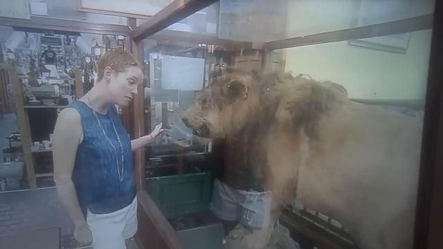 SIMBA-WORLDS LARGEST LION смотреть онлайн