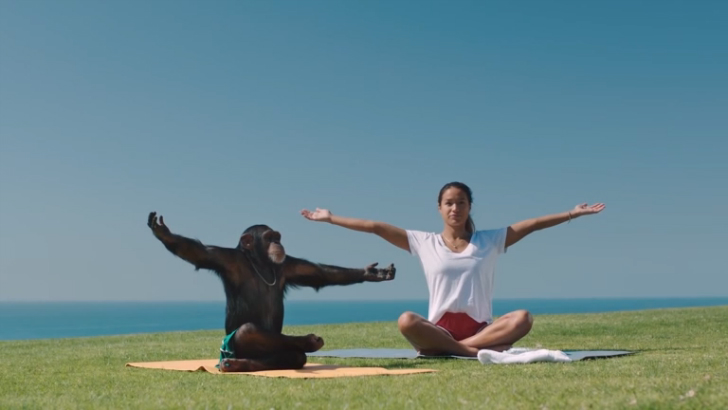 Steve Aoki feat. Adam Lambert & Felix Jaehn - Can't Go Home 2016 смотреть онлайн