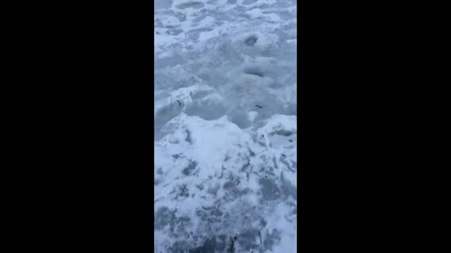 Ловля на косынки зимой часть 2 смотреть онлайн