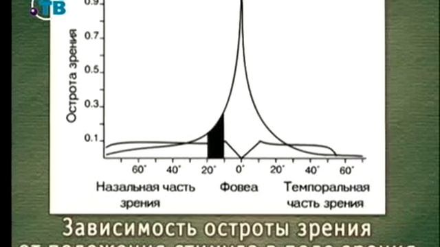 Видеоэкология. Урок 2. Движения глаза в процессе зрительного восприятия смотреть онлайн