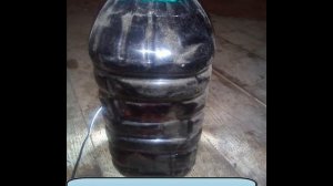 Замена антифриза  Suzuki SX4. Zamena Antifreeza Suzuki SX4