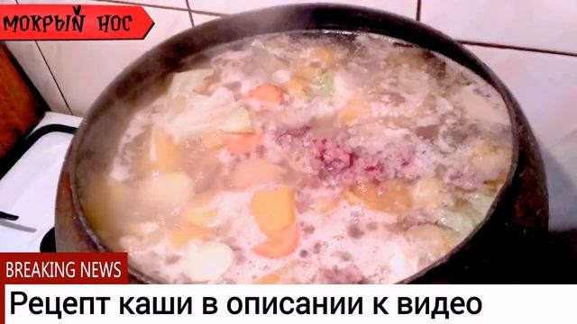 Каша "ЗДОРОВЬЕ". Лучший рецепт собачьей каши!!! смотреть онлайн
