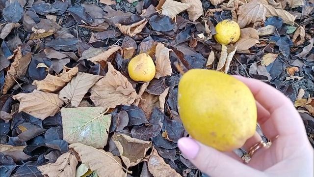 КАК КРАСИВО ОФОРМИТЬ ДОРОЖКУ? смотреть онлайн