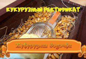 Кукурузная водочка.Кукурузный спирт ректификат.Повторное использование кукурузной браги..mp4