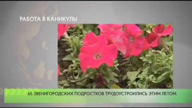 Работа в каникулы смотреть онлайн