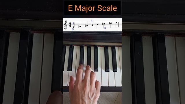 E Major Scale 😊 -PIANO FINGERING- 🎹😊🎶 #piano #musictheory смотреть онлайн