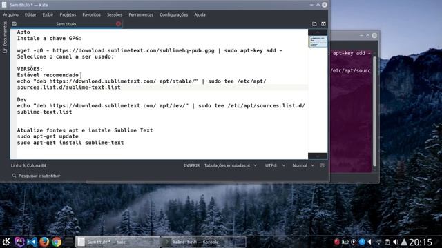 SUBLIME TEXT 3 INSTALAR NO DEBIAN 9 STRETCH смотреть онлайн