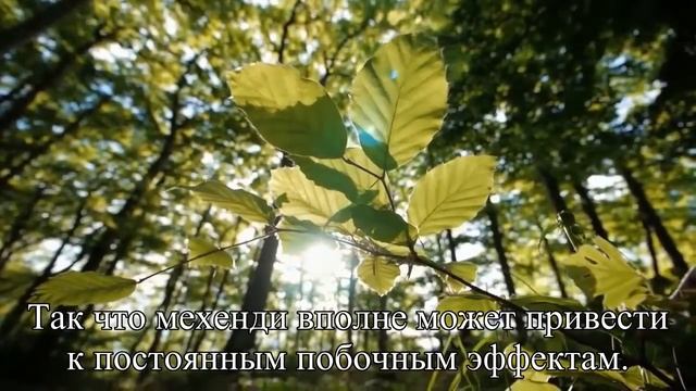 5 фактов о вреде татуировок — Статья смотреть онлайн