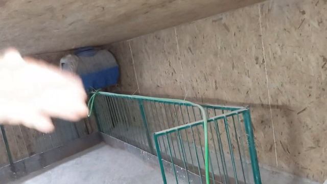 Новый свинарник. Срочно нужно переделать. Плохо построил))))) смотреть онлайн