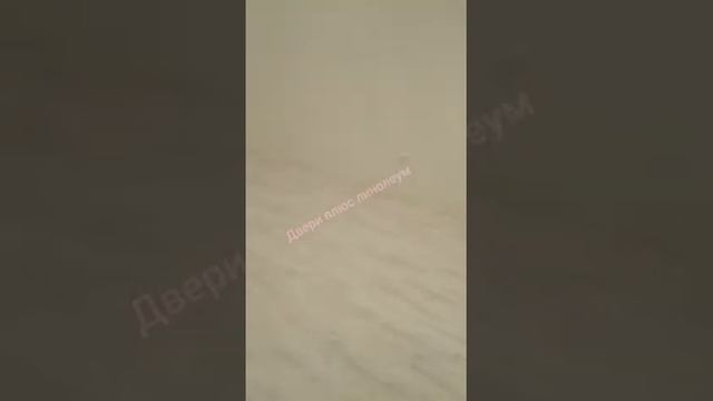 Межкомнатные двери модель Белла 08 цвет дримвуд белый стекло чёрное лакобель смотреть онлайн