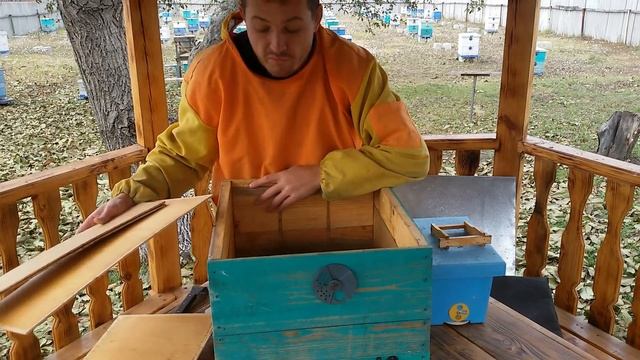 Какой нуклеус лучше? & Нуклеусы на моей пасеке