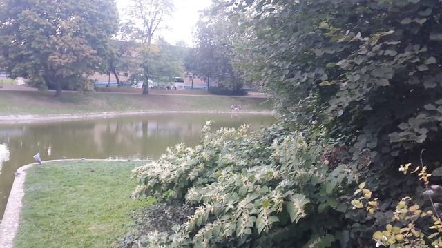 Dresden(3) смотреть онлайн
