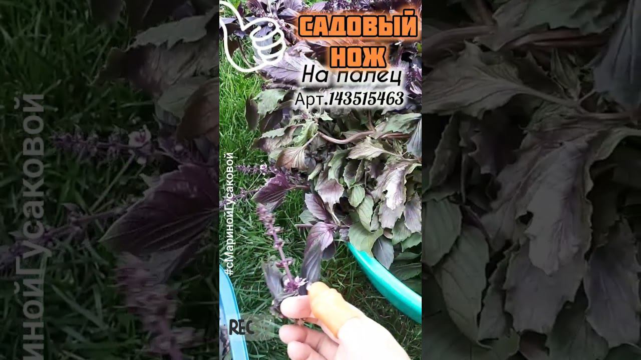 Полезные штучки для ОГОРОДА Садовый нож на палец просто НАХОДКА Лайфхаки | с Мариной Гусаковой смотреть онлайн