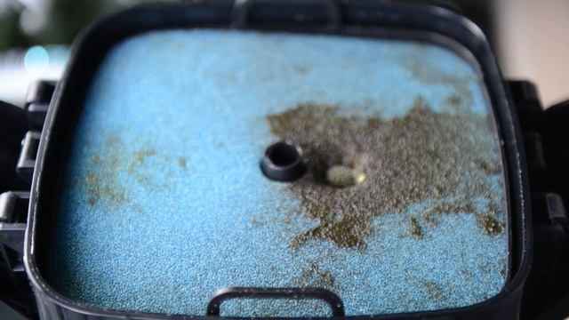 Честный отзыв о внешнем фильтре aquael maxi kani 150 смотреть онлайн