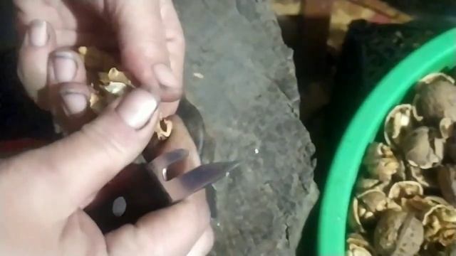 Как лучше бить и чистить грецкий орех? смотреть онлайн