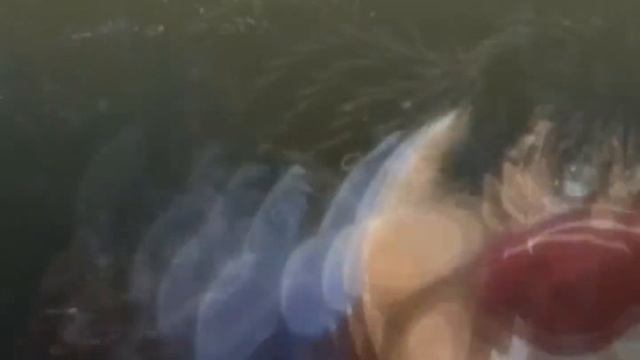 Ippo's boomstick смотреть онлайн