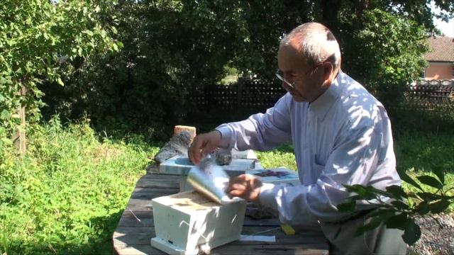 Новые возможности в селекции пчёл. Работа с нуклеусами на изолированном облётнике смотреть онлайн