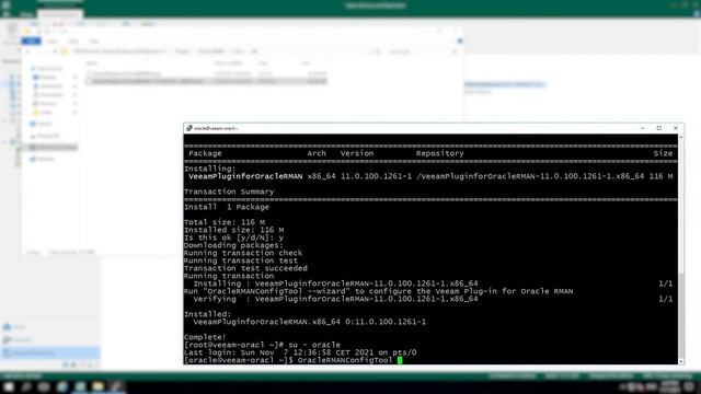 Установка и настройка плагина для Oracle RMAN смотреть онлайн