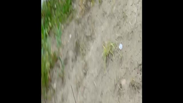 скоро стрим смотреть онлайн