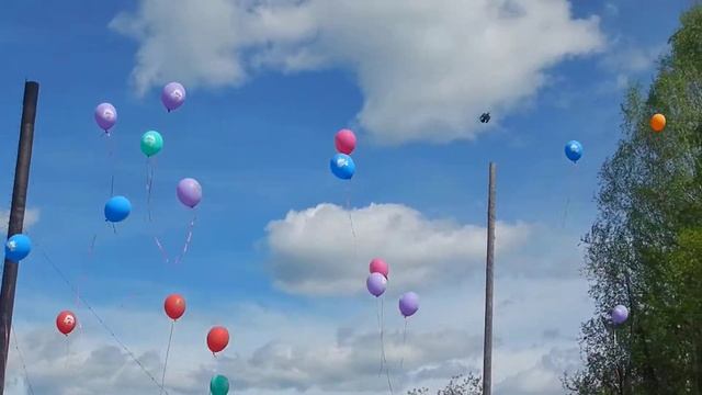 Шары в небо.