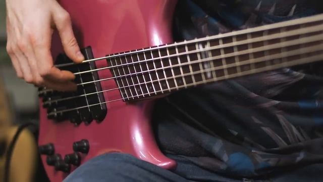 Scott Divine: THE ULTIMATE BASS COMPARISON VIDEO смотреть онлайн