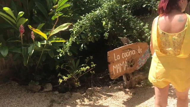 Chichen Itza, Cenote, Mayan Village: Day Trip With TUI Mexico смотреть онлайн